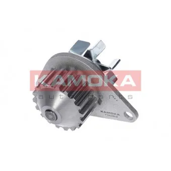 Pompe à eau KAMOKA T0083