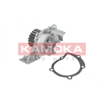 Pompe à eau KAMOKA T0085