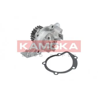 Pompe à eau KAMOKA T0086