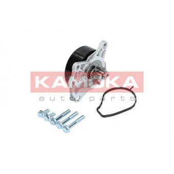 Pompe à eau KAMOKA T0088