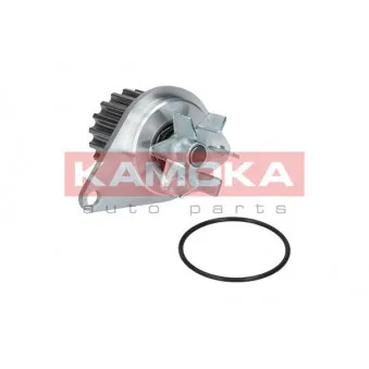 Pompe à eau KAMOKA T0089