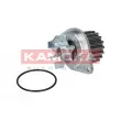 Pompe à eau KAMOKA T0089 - Visuel 2