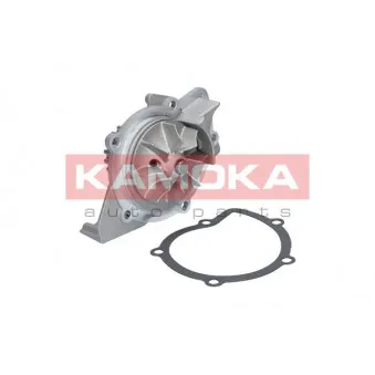 Pompe à eau KAMOKA T0091