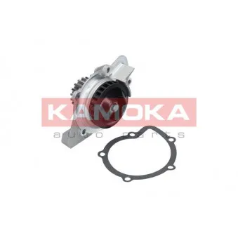 Pompe à eau KAMOKA T0092