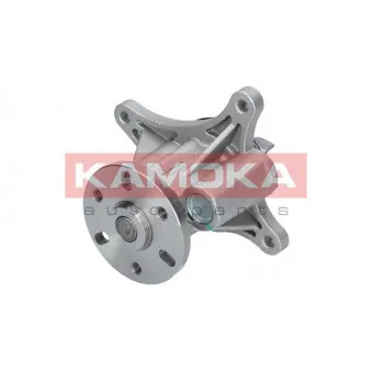 Pompe à eau KAMOKA T0093
