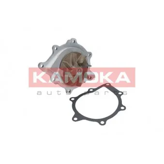 Pompe à eau KAMOKA T0094