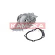 Pompe à eau KAMOKA T0095 - Visuel 1