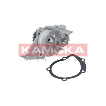 Pompe à eau KAMOKA T0095
