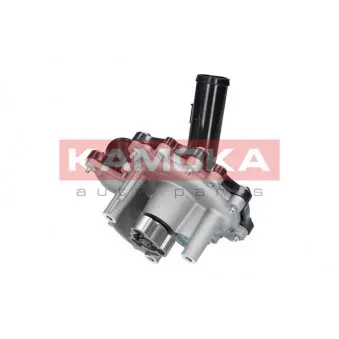 Pompe à eau KAMOKA T0096