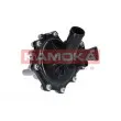 Pompe à eau KAMOKA T0096 - Visuel 2