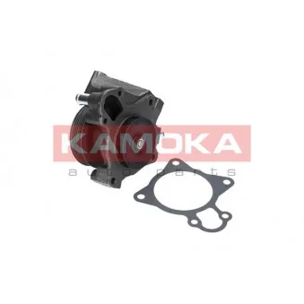 Pompe à eau KAMOKA T0097