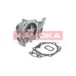 Pompe à eau KAMOKA T0105 - Visuel 1