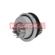 Pompe à eau KAMOKA T0106 - Visuel 1