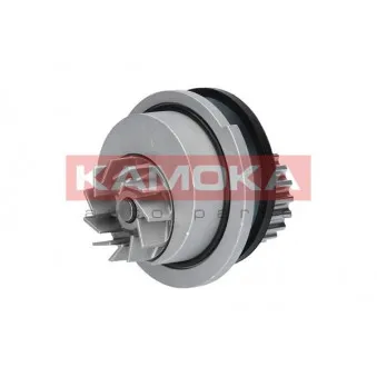Pompe à eau KAMOKA T0106