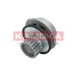 Pompe à eau KAMOKA T0106 - Visuel 3
