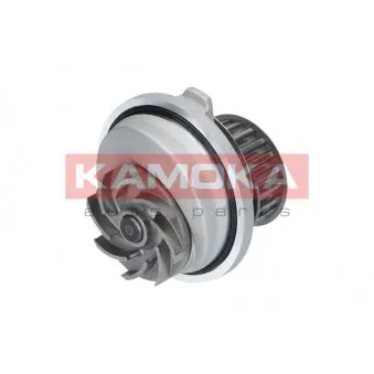 Pompe à eau KAMOKA T0107