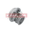 Pompe à eau KAMOKA T0107 - Visuel 2