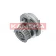 Pompe à eau KAMOKA T0107 - Visuel 3