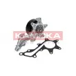 Pompe à eau KAMOKA T0109 - Visuel 1