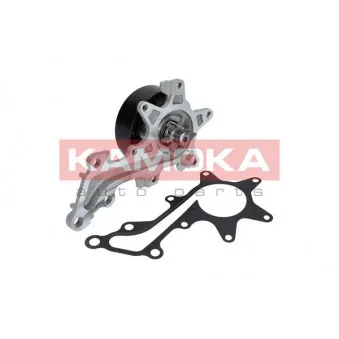 Pompe à eau KAMOKA T0109