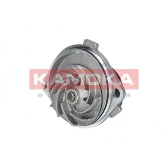 Pompe à eau KAMOKA T0111