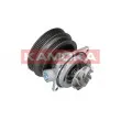 Pompe à eau KAMOKA T0112 - Visuel 2