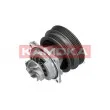 Pompe à eau KAMOKA T0112 - Visuel 3