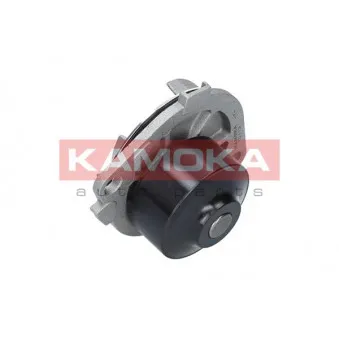 Pompe à eau KAMOKA T0113