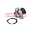 Pompe à eau KAMOKA T0114 - Visuel 1