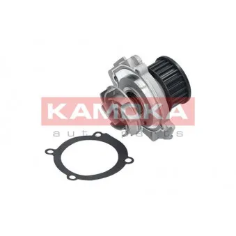 Pompe à eau KAMOKA T0114