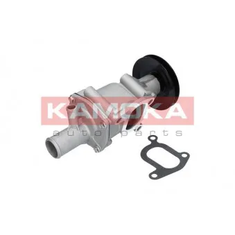 Pompe à eau KAMOKA T0116
