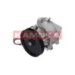 Pompe à eau KAMOKA T0123 - Visuel 2