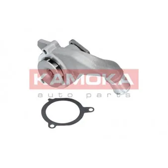 Pompe à eau KAMOKA T0133