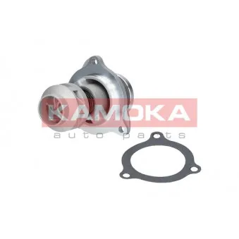 Pompe à eau KAMOKA T0135