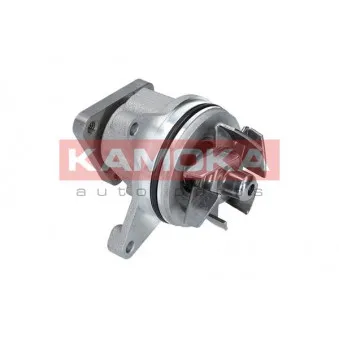 Pompe à eau KAMOKA T0136