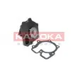 Pompe à eau KAMOKA T0143 - Visuel 1