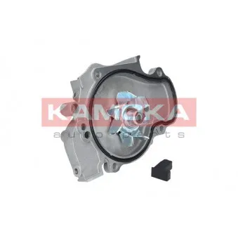 Pompe à eau KAMOKA T0144