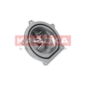 Pompe à eau KAMOKA T0145