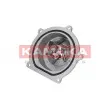 Pompe à eau KAMOKA T0145 - Visuel 2