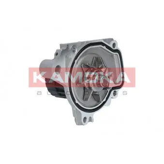 Pompe à eau KAMOKA T0148