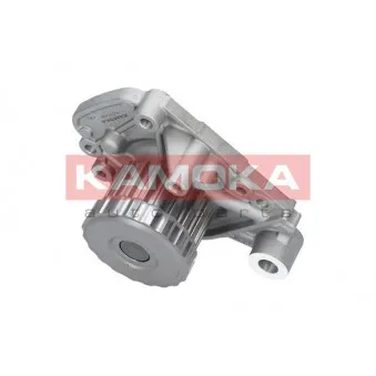 Pompe à eau KAMOKA T0149