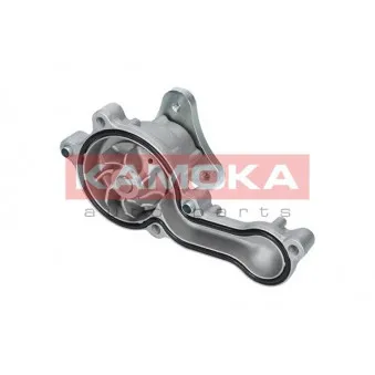 Pompe à eau KAMOKA T0150