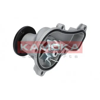 Pompe à eau KAMOKA T0151