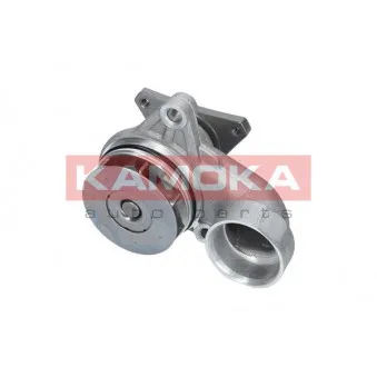Pompe à eau KAMOKA T0157