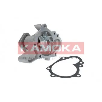 Pompe à eau KAMOKA T0158