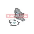 Pompe à eau KAMOKA T0159 - Visuel 2