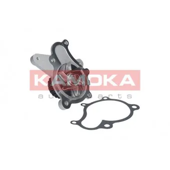 Pompe à eau KAMOKA T0160