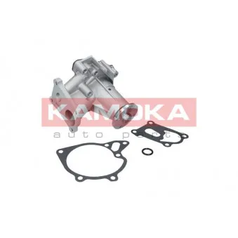 Pompe à eau KAMOKA T0161