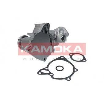 Pompe à eau KAMOKA T0162