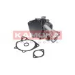 Pompe à eau KAMOKA T0162 - Visuel 2